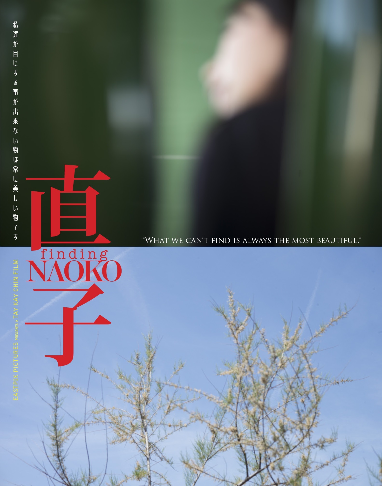Read more about the article Finding Naoko