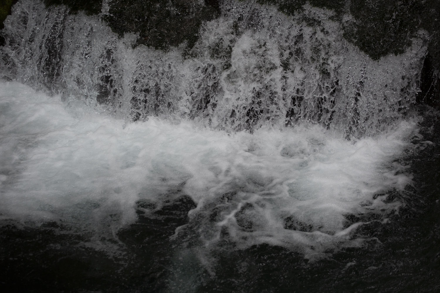Read more about the article Kumamoto